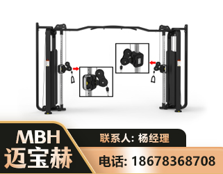 济宁大飞鸟训练器